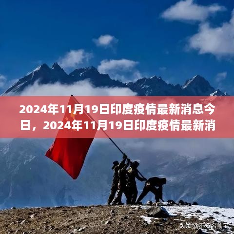 2024年11月19日印度疫情最新消息汇总