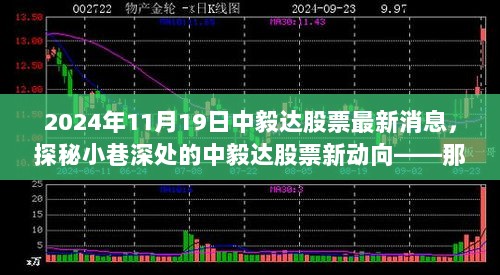 2024年11月19日中毅达股票最新动态，探秘小巷深处的特色小店与股票新动向