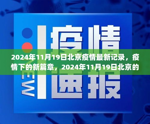 2024年11月19日北京疫情最新记录，坚韧与希望的新篇章