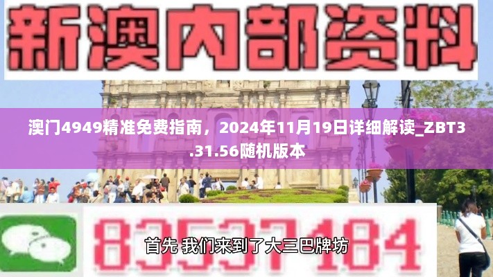 2024年11月20日 第84页