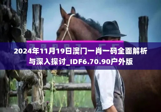 2024年11月19日澳门一肖一码全面解析与深入探讨_IDF6.70.90户外版