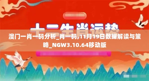 澳门一肖一码分析_肖一码,11月19日数据解读与策略_NGW3.10.64移动版