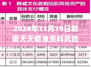 2024年11月19日新奥天天精准资料风险解析与规避方案_VYN5.46.60共鸣版