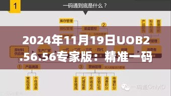 2024年11月19日UOB2.56.56专家版：精准一码一肖与管家婆大小中特解答