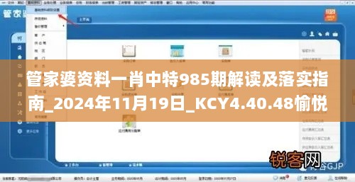 管家婆资料一肖中特985期解读及落实指南_2024年11月19日_KCY4.40.48愉悦版