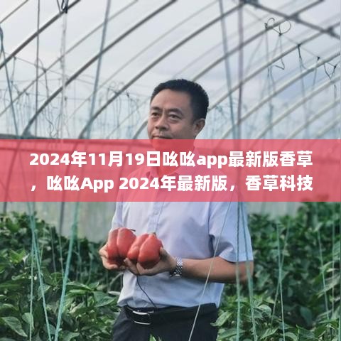 吆吆App 2024年新版香草科技体验，重塑生活新篇章