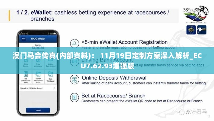 澳门马会传真(内部资料)： 11月19日定制方案深入解析_ECU7.62.93增强版