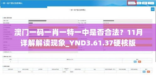 澳门一码一肖一特一中是否合法？11月详解解读现象_YND3.61.37硬核版