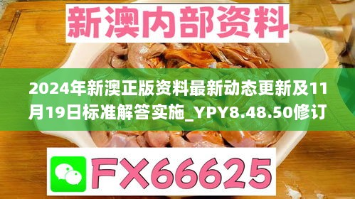 2024年新澳正版资料最新动态更新及11月19日标准解答实施_YPY8.48.50修订版