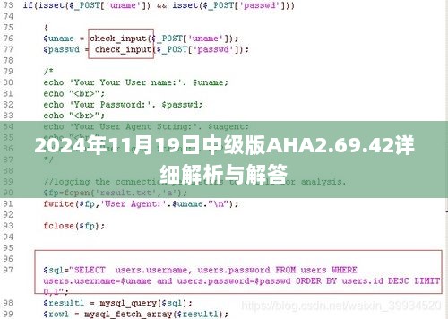 2024年11月19日中级版AHA2.69.42详细解析与解答