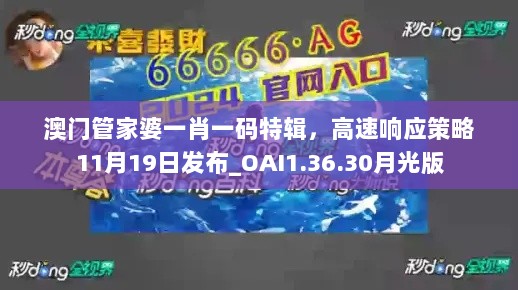 2024年11月20日 第41页