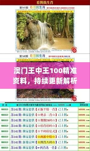 澳门王中王100精准资料，持续更新解析_QRS4.36.98工具版