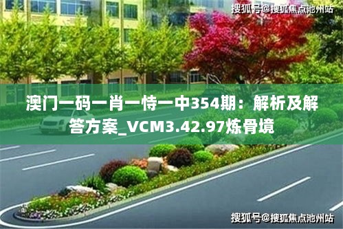 澳门一码一肖一恃一中354期：解析及解答方案_VCM3.42.97炼骨境