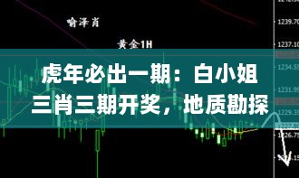 虎年必出一期：白小姐三肖三期开奖，地质勘探矿业石油_CSG9.50.65SE版