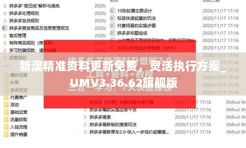 新澳精准资料更新免费，灵活执行方案_UMV3.36.62旗舰版