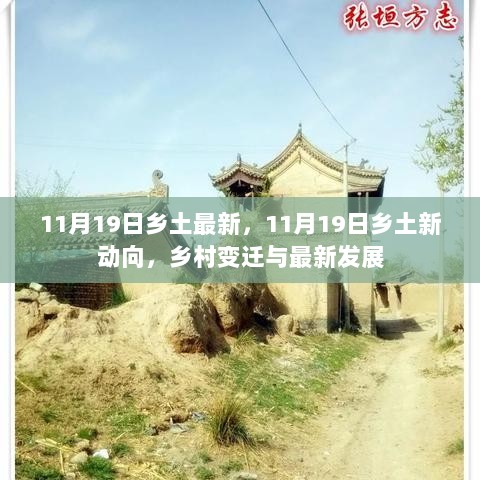 11月19日乡土新动向，乡村变迁与最新发展概览