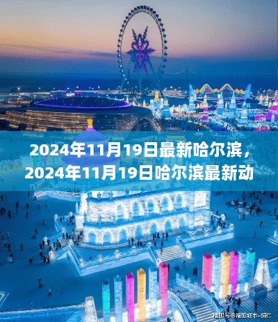 2024年11月19日哈尔滨最新动态，城市发展、旅游热点与民生资讯全面解析