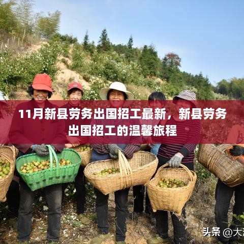 11月新县劳务出国招工最新动态，温馨旅程等你启程