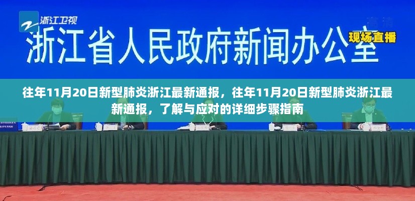 往年11月20日新型肺炎浙江最新通报及应对详细步骤指南