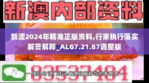 新澳2024年精准正版资料,行家执行落实解答解释_ALG7.21.87调整版