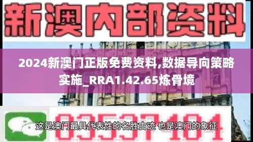 2024新澳门正版免费资料,数据导向策略实施_RRA1.42.65炼骨境