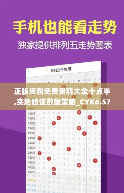 正版资料免费资料大全十点半,实地验证数据策略_CYK6.57.87时空版