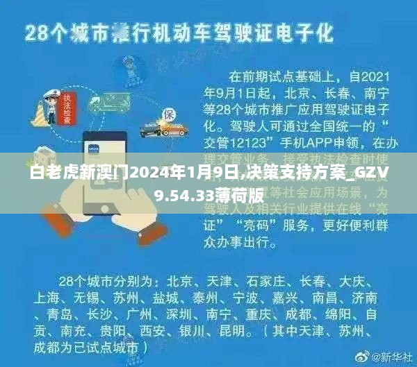 白老虎新澳门2024年1月9日,决策支持方案_GZV9.54.33薄荷版