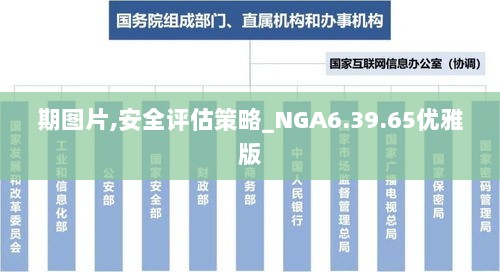 期图片,安全评估策略_NGA6.39.65优雅版