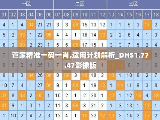 管家精准一码一肖,适用计划解析_DHS1.77.47影像版