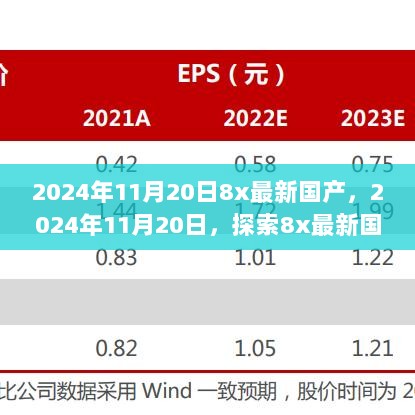 2024年11月20日，8x最新国产之旅，寻找内心平静的奇妙探险