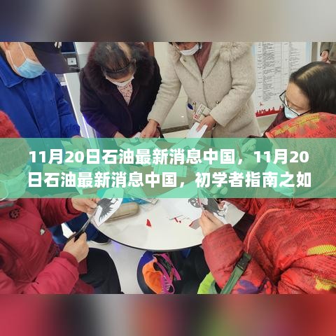 11月20日中国石油市场最新消息与初学者指南，掌握石油市场分析技能