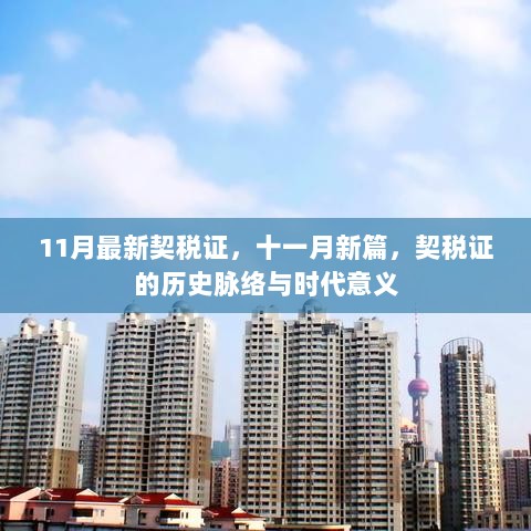 11月新篇，契税证的历史脉络与时代意义