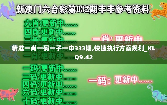 精准一肖一码一子一中333期,快捷执行方案规划_KLQ9.42