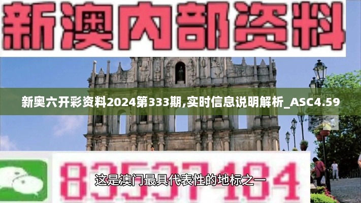 新奥六开彩资料2024第333期,实时信息说明解析_ASC4.59