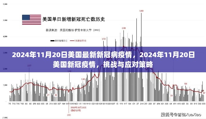 2024年11月20日美国新冠疫情挑战与应对策略