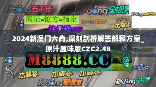 2024新澳门六肖,深刻剖析解答解释方案_原汁原味版CZC2.48