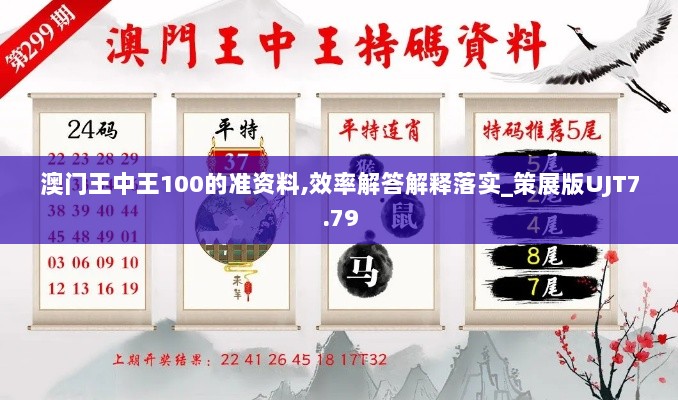 澳门王中王100的准资料,效率解答解释落实_策展版UJT7.79