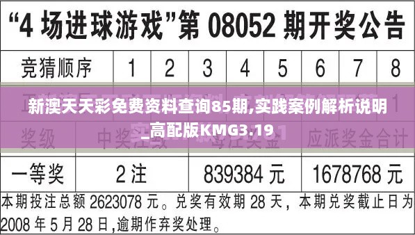 新澳天天彩免费资料查询85期,实践案例解析说明_高配版KMG3.19