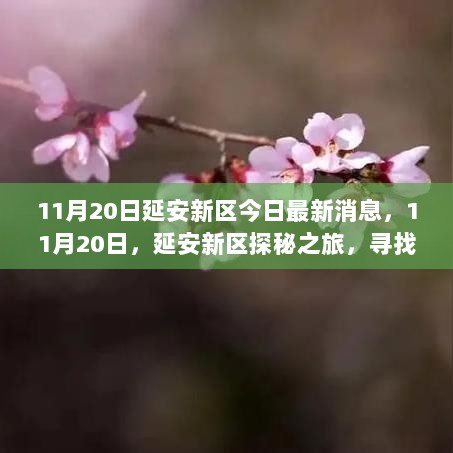 11月20日延安新区探秘之旅，寻找内心的平静与大自然的馈赠的最新消息