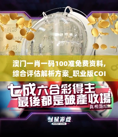 澳门一肖一码100准免费资料,综合评估解析方案_职业版COI7.24