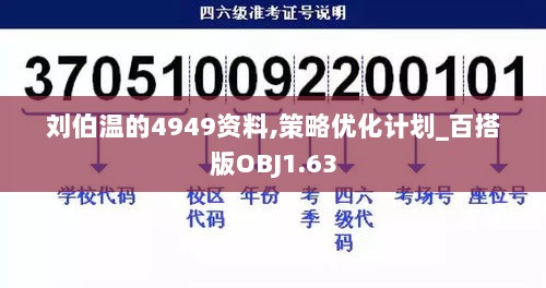 刘伯温的4949资料,策略优化计划_百搭版OBJ1.63