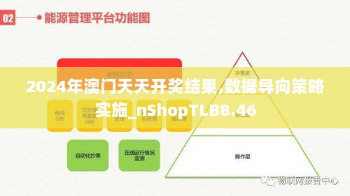 2024年澳门天天开奖结果,数据导向策略实施_nShopTLB8.46