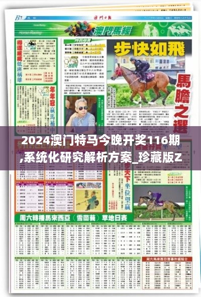 2024澳门特马今晚开奖116期,系统化研究解析方案_珍藏版ZAP6.74