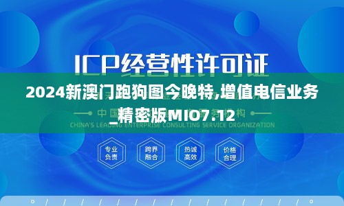 2024新澳门跑狗图今晚特,增值电信业务_精密版MIO7.12