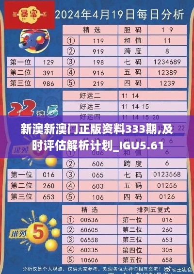 新澳新澳门正版资料333期,及时评估解析计划_IGU5.61