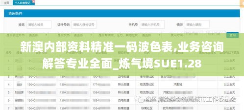 新澳内部资料精准一码波色表,业务咨询解答专业全面_炼气境SUE1.28