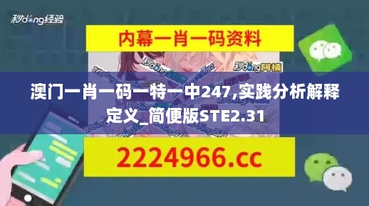 澳门一肖一码一特一中247,实践分析解释定义_简便版STE2.31