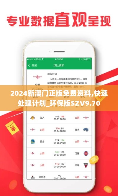 2024新澳门正版免费资料,快速处理计划_环保版SZV9.70