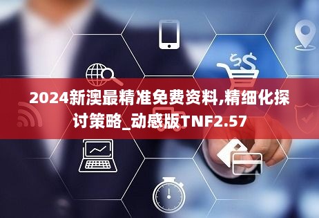 2024新澳最精准免费资料,精细化探讨策略_动感版TNF2.57