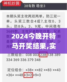 2024今晚开特马开奖结果,实地解析说明研究_月光版VVW1.10